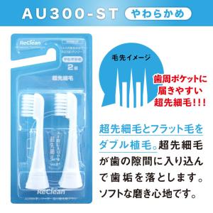 リクリーン 替えブラシ(2個入)ふつうフラット...の詳細画像1
