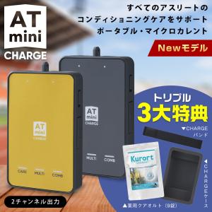 クーポン割 3大特典付 ATmini CHARGE 最新モデル at mini 家庭用 低周波治療器 マイクロカレント atミニ ATミニ パーソナル