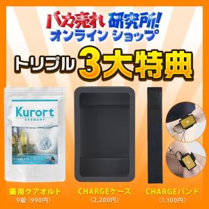3大特典付 4290円相当 伊藤超短波 ATm...の詳細画像1