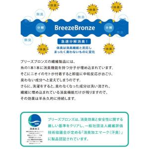 ブリーズブロンズ 消臭インソール 99%以上 ...の詳細画像3