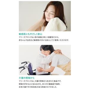 ブリーズブロンズ 消臭インソール 99%以上 ...の詳細画像4