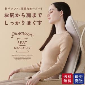 ルルド マッサージシート 特典付き プレミアムシートマッサージャー