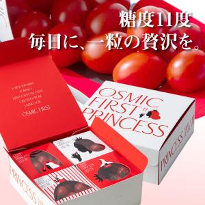 トマトグランプリ総合優勝 オスミックトマト OSMIC FIRST PRINCESS 120g×4箱 糖度11 国産 フルーツトマト 最高品質