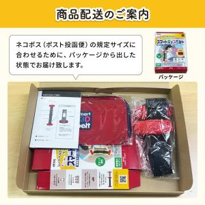 安心の国内正規品 警察庁回答書付き 国内最新モ...の詳細画像3