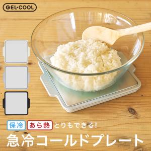 コールド＆ホットプレート ＃3300（ポータブルタイプ） : スタイル