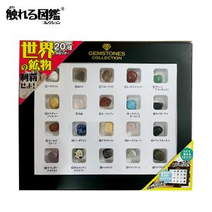 触れる図鑑 世界の石 宝石 工作キット 実験キット 自由研究