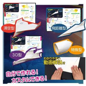 触れる図鑑 世界記録の紙ヒコーキ かみひこうき...の詳細画像3