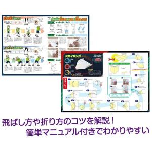 触れる図鑑 世界記録の紙ヒコーキ かみひこうき...の詳細画像5