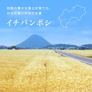 クール一番 (1kg×5袋) 国産 はだか麦1...の詳細画像2