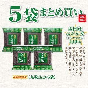 クール一番 (1kg×5袋) 国産 はだか麦1...の詳細画像1