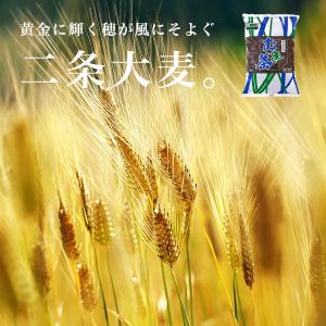 まるつぶ二条麦茶 (1kg×10袋) 国産 煮...の詳細画像2