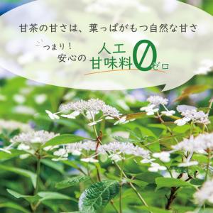 甘茶 あまちゃ (70g) 国産 健康茶 花祭...の詳細画像2