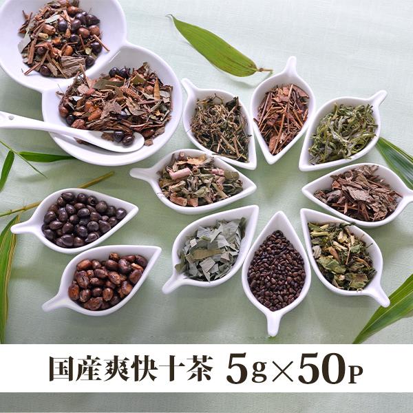 国産 爽快十茶 5g×50p ごぼう茶ベース ブレンド茶 健康茶 メール便送料無料 代引き不可