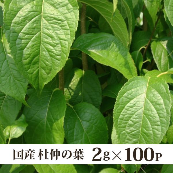 杜仲茶（２ｇ×100ｐ）国産　ティーパック　中国茶　健康茶　メール便送料無料、代引き不可