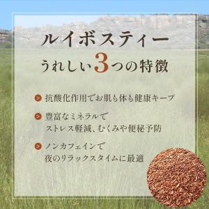 ルイボスティー (2g×100p) 国内製造 ...の詳細画像1