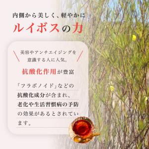 ルイボスティー (4g×30p) 国内製造 水...の詳細画像3