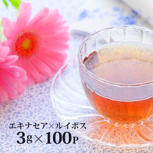 エキナセア×ルイボス 健康茶 3g×100p メール便 代引き不可