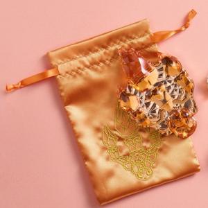 Pokemon（ポケモン） ポケモンセンターオリジナル Pokemon accessory