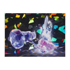 Pokemon（ポケモン） ポケモンセンターオリジナル 缶バッジ