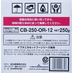 IWATANI イワタニ カセットガス 12本...の詳細画像2