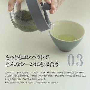 新感覚の きゅ〜す ちゃPod2 洗い一瞬 新...の詳細画像4