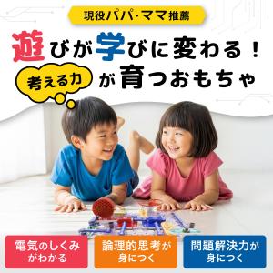 電脳サーキット 100 正規品 日本語説明書 ...の詳細画像2