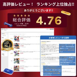 電脳サーキット 100 正規品 日本語説明書 ...の詳細画像1