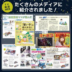 電脳サーキット 100 正規品 日本語説明書 ...の詳細画像4