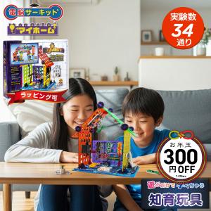 ブロックおもちゃ 知育玩具 5歳 6歳の買取情報