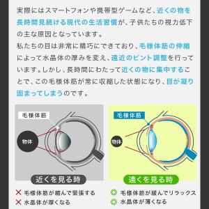 視力 トレーニング ホームワック アイトレーニ...の詳細画像2