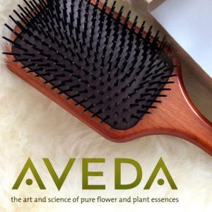 ★訳あり★アヴェダ AVEDA パドルブラシ ヘアブラシ(ミニサイズ）