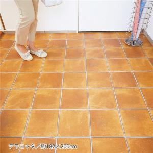 掃除がしやすい 玄関シート フロアシート 約1 0cm テラコッタ 日本