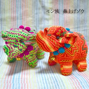 ラッキービーンズ】モダマの豆10個セット モダマ 世界一大きい豆 も