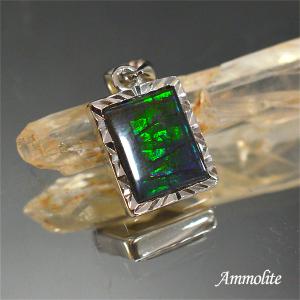 カナダ の 稀少 な 化石 宝石 【 アンモライト 原石 破片 】 KORITE