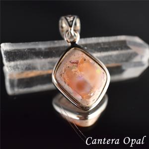 スワロフスキー　MARCH FOX ピアス SWAROVSKI（スワロフスキー） 動物 キツネ MARCH FOX ピアス 5409357