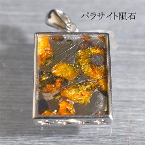 セリコ隕石 パラサイト隕石 原石 スライスプレート 最大幅約29.4mm 約