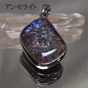 稀少な化石宝石アンモライト・ 【14Kホワイトゴールドペンダントトップ