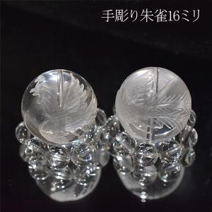 ラッキービーンズ】モダマの豆10個セット モダマ 世界一大きい豆 も