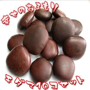 【ラッキービーンズ】モダマの豆10個セット モダ...の商品画像