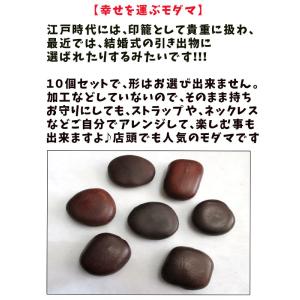 【ラッキービーンズ】モダマの豆10個セット モ...の詳細画像3