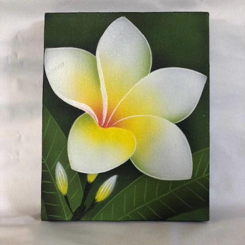 バリアート25ｘ20ホワイト 送料無料　代引き日時指定不可 バリ島 アジアン 絵 プルメリア 絵画 ...