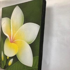 バリアート25x20ホワイト 送料無料 代引き...の詳細画像1