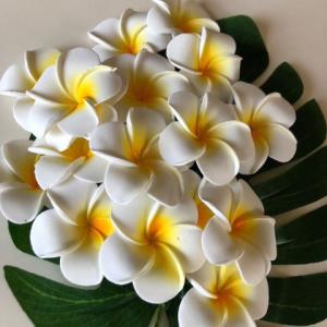 プルメリア 造花 フットバス 230円発送可 イ...の商品画像