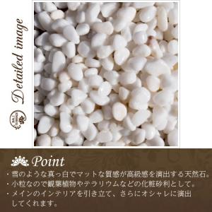 ナチュラルストーン(ホワイト)約300g 飾り...の詳細画像2