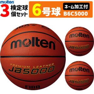 molten（モルテン） バスケットボール用品 ファウル表示盤5ファウル用