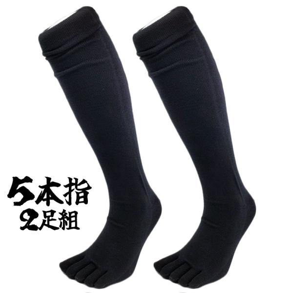 野球ソックス ミズノ ベースボール 5本指ソックス 2足組 25-28cm アンダーストッキング 野...