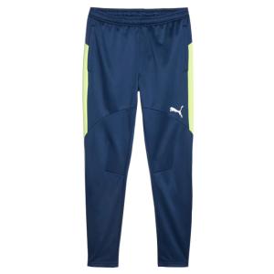 30％OFF！ サッカー フットサル プーマ INDIVIDUAL ウィンターライズ パンツ ペルシアンブルー ロングパンツ <br>【PUMA2023FW】 <br>658887-01｜ballclub-b