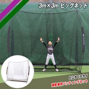 フィールドフォース 硬式・軟式兼用 バッティングネット ビッグネット 3m×3m バッティング練習 ...