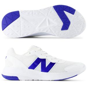 ニシ・スポーツ nishi スプリントチューブ nt7426 レジスタンス