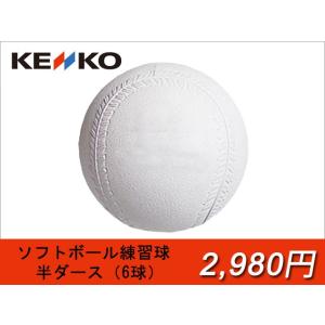 ナガセケンコー ソフトボール用 練習球(スリケン...の商品画像